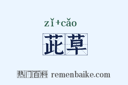 茈草是什么意思的图片